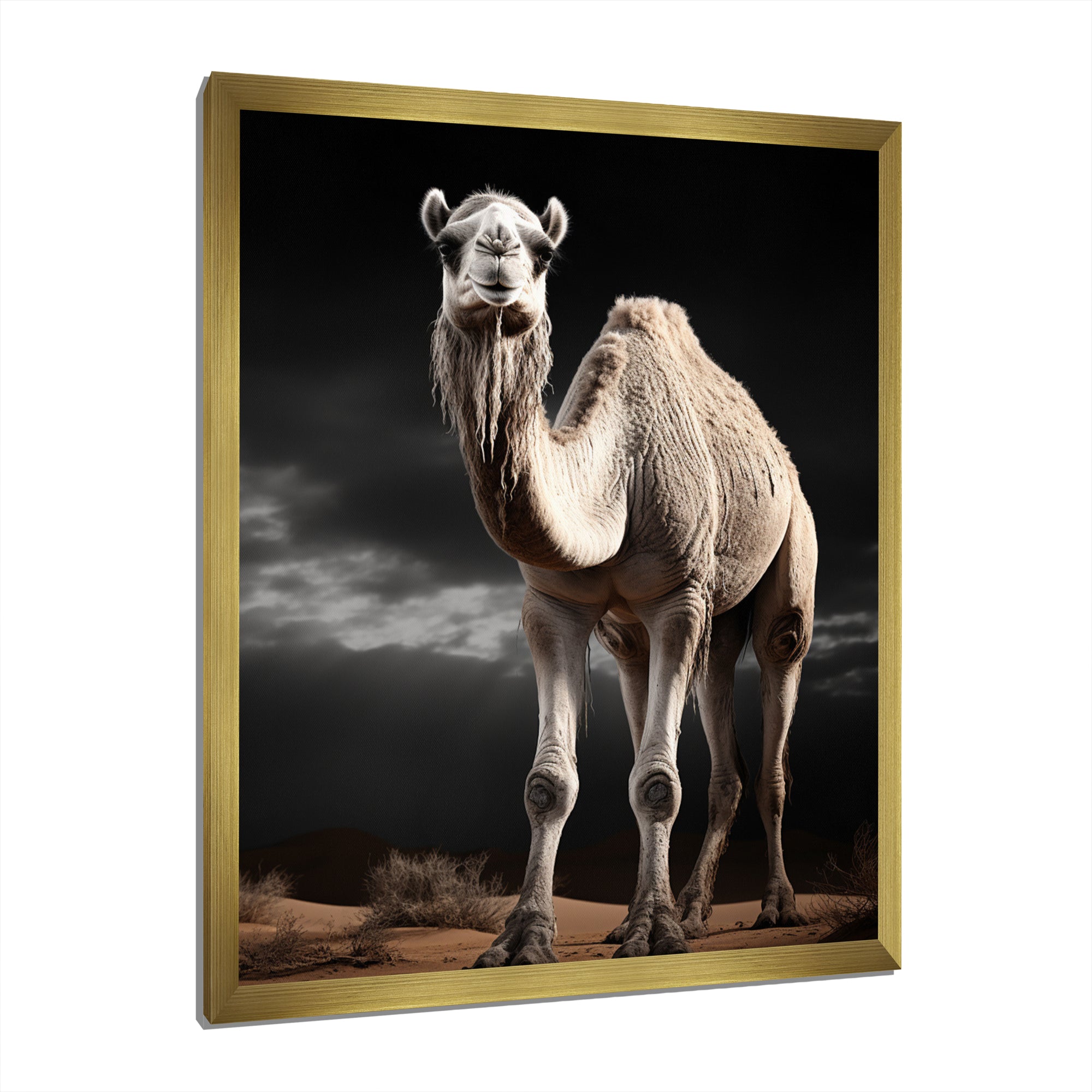 Camel Graceful Steps - Camel Framed Canvas Art