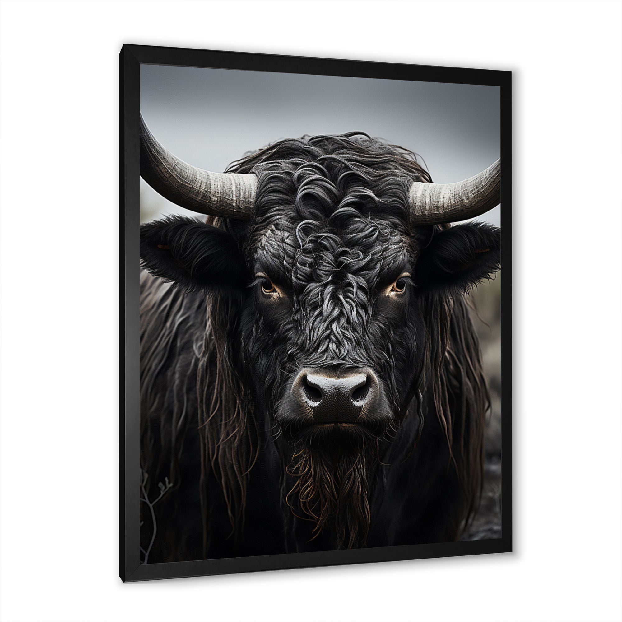Cattle Majestic Horns - Cattle Framed Canvas Art