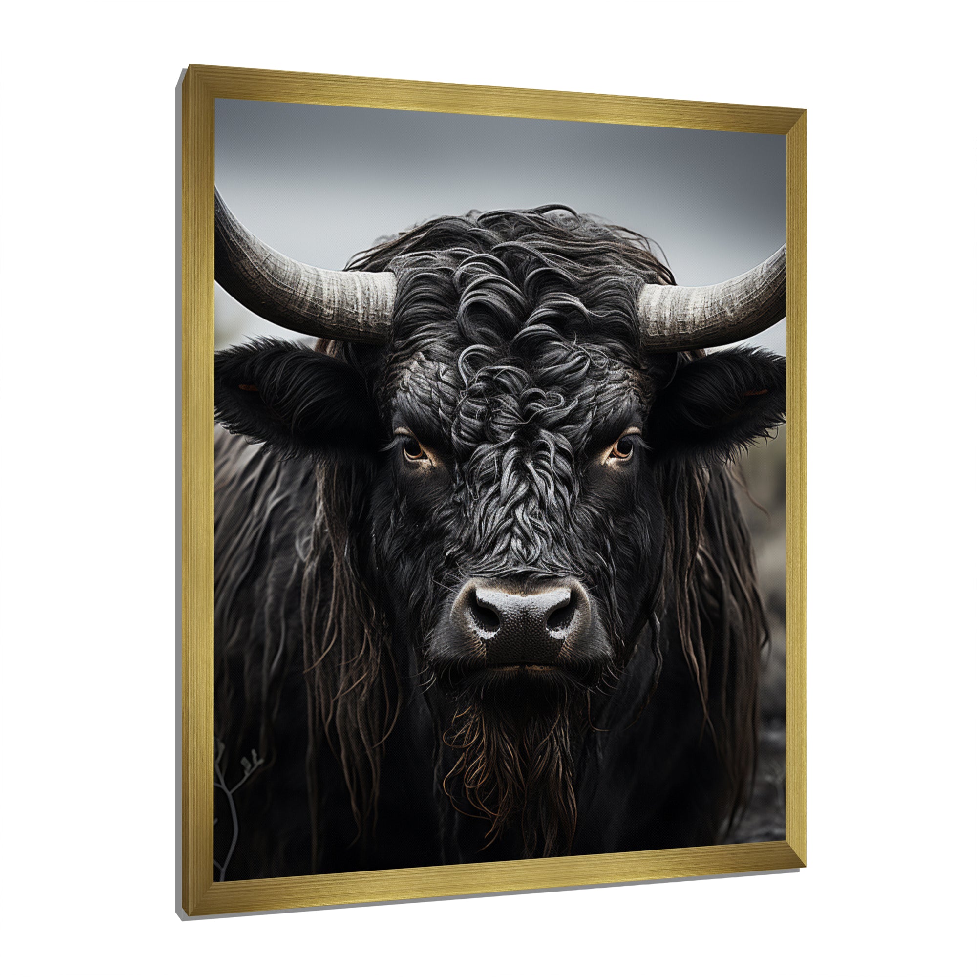 Cattle Majestic Horns - Cattle Framed Canvas Art