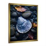Grey Clam Dappled Depths - Clam Bedroom Wall Art