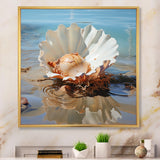 White Clam Ocean Whispers - Clam Wall Art Prints