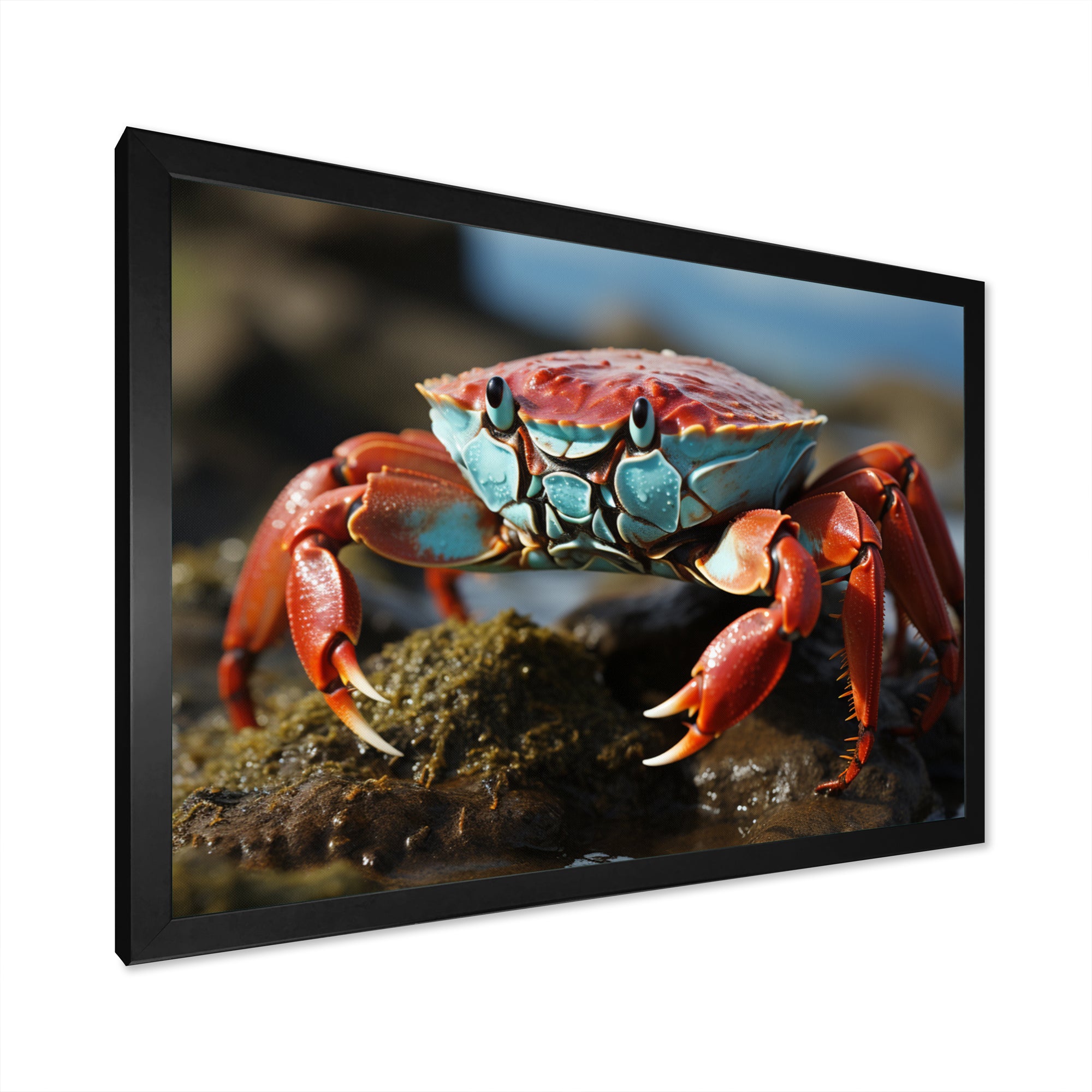 Crab Coastal Scavenger - Crab Home Decor Art