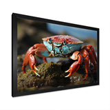 Crab Coastal Scavenger - Crab Home Decor Art