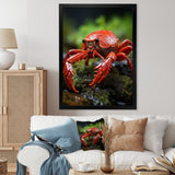 Crayfish Creek Dweller - Crayfish Wall Art Prints