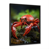 Crayfish Creek Dweller - Crayfish Wall Art Prints