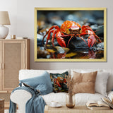 Crayfish River Jewels - Crayfish Large Canvas Wall Art