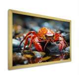 Crayfish River Jewels - Crayfish Large Canvas Wall Art