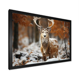 Deer Graceful Deer - Deer Wall Art Prints