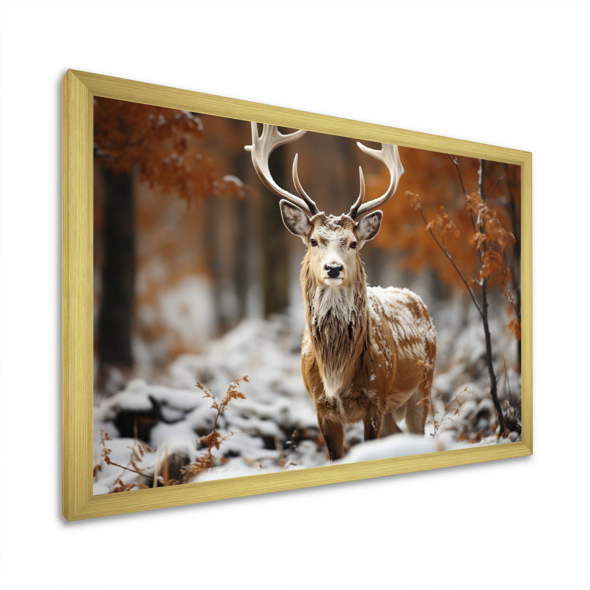 Deer Graceful Deer - Deer Wall Art Prints