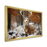 Deer Graceful Deer - Deer Wall Art Prints