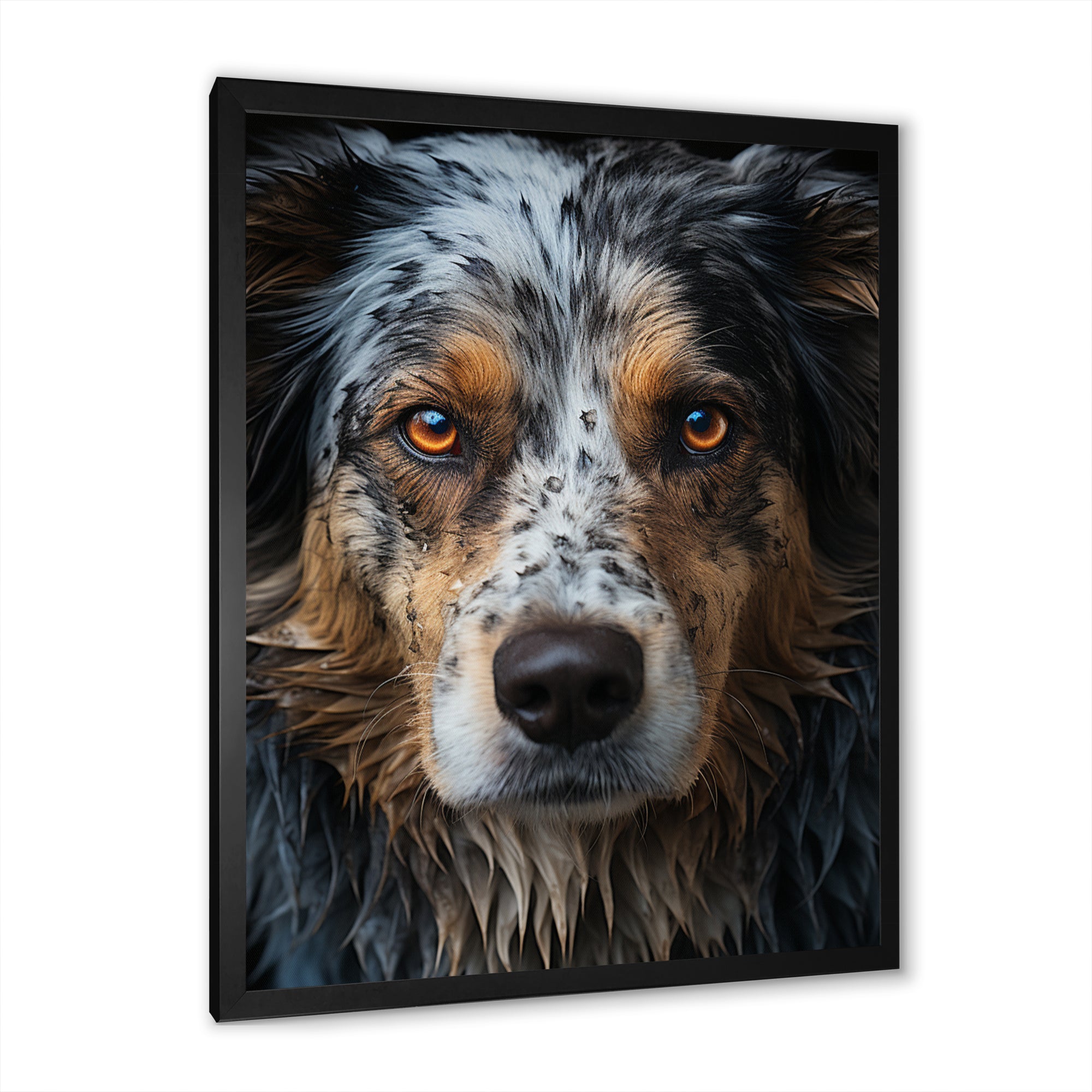 Dog Animal - Dog Living Room Wall Art