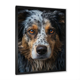 Dog Animal - Dog Living Room Wall Art