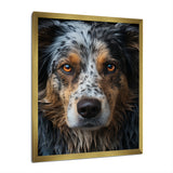 Dog Animal - Dog Living Room Wall Art