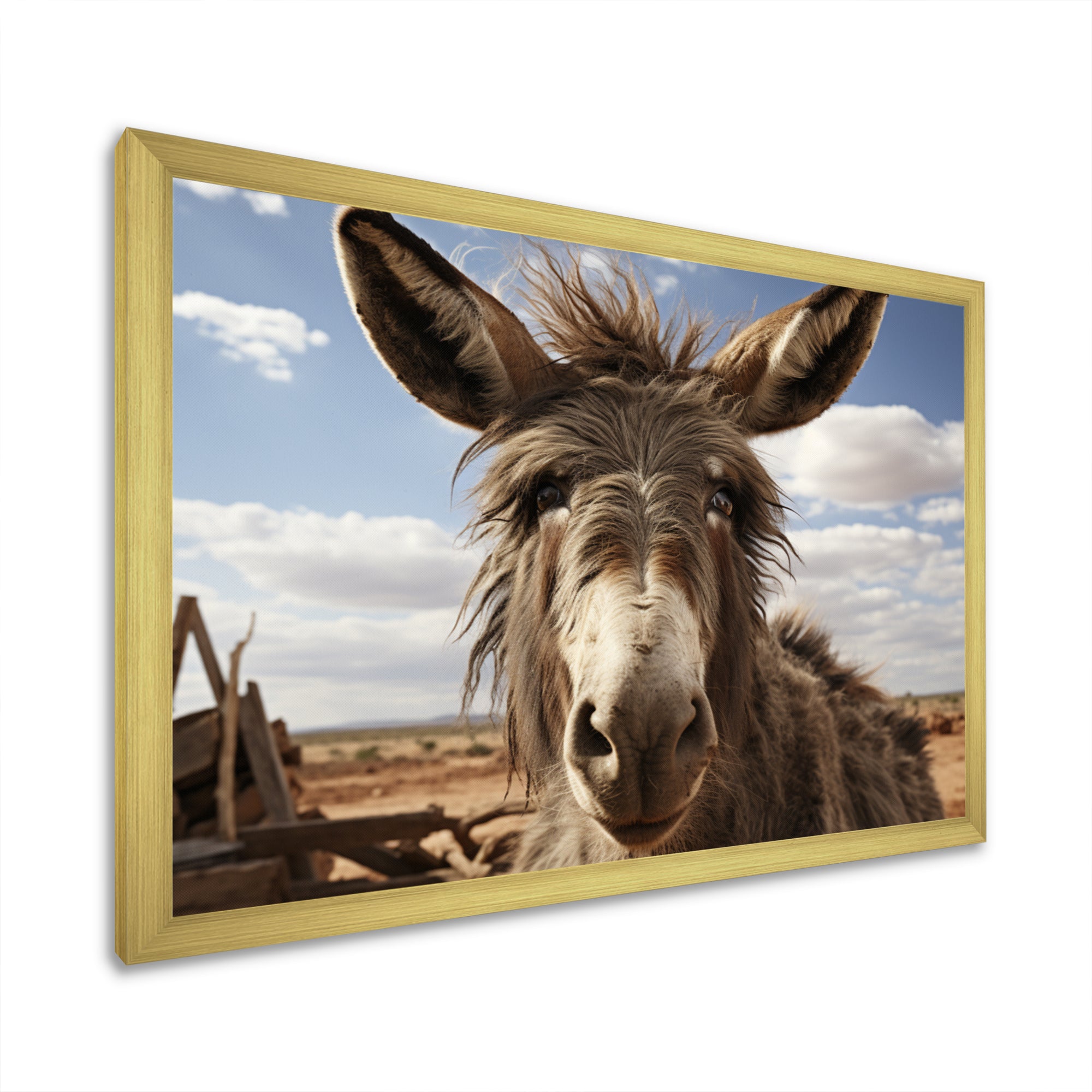 Grey Donkey Portrait - Donkey Canvas Wall Art
