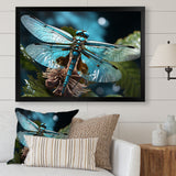 Teal Dragonfly Airborne Jewel - Dragonfly Canvas Wall Art