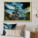 Teal Dragonfly Airborne Jewel - Dragonfly Canvas Wall Art