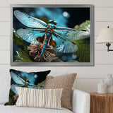 Teal Dragonfly Airborne Jewel - Dragonfly Canvas Wall Art
