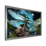 Teal Dragonfly Airborne Jewel - Dragonfly Canvas Wall Art