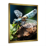 White Dragonfly Insects Flight - Dragonfly Wall Art Prints