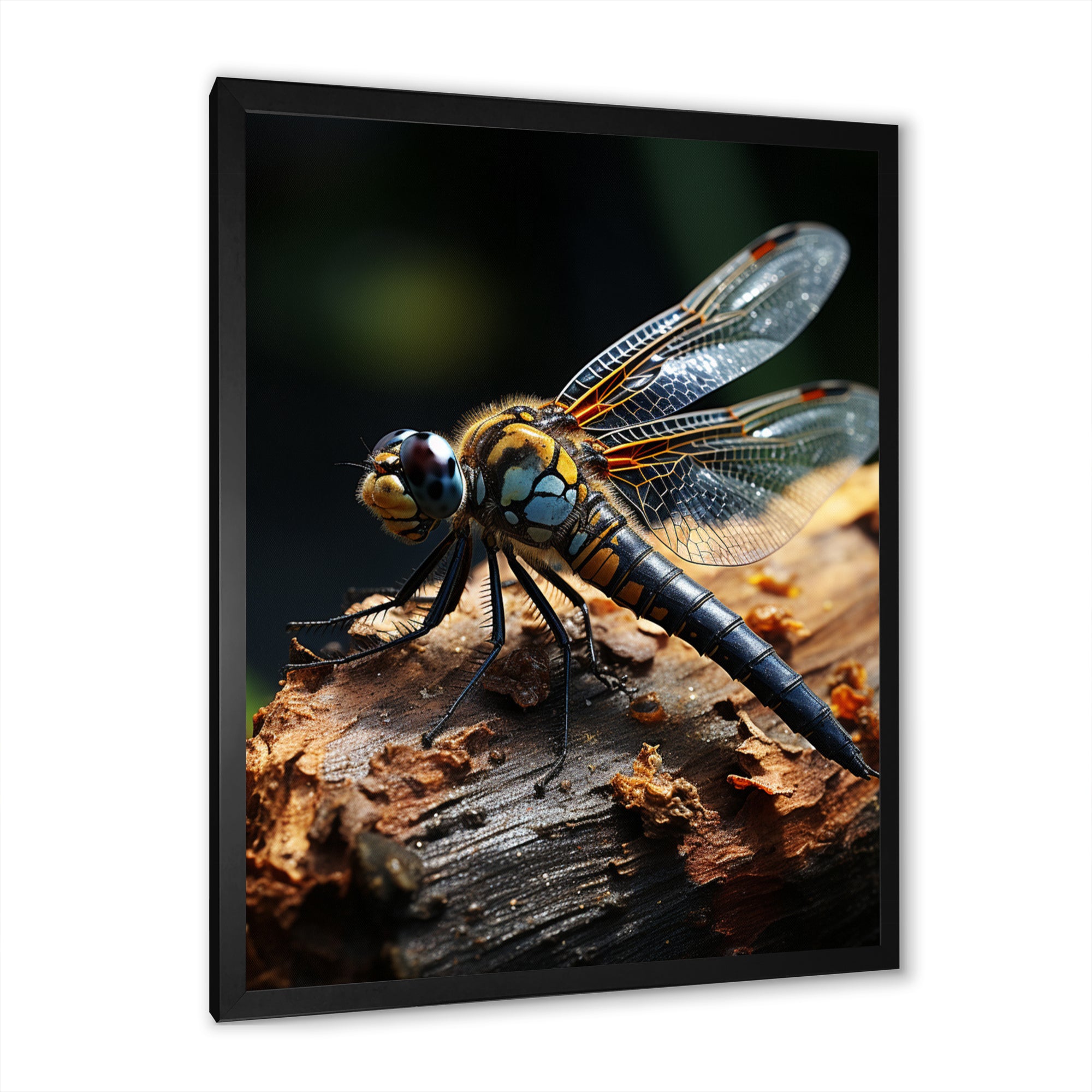 Brown Dragonfly Portrait Vibrant - Dragonfly Home Decor Art