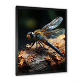 Brown Dragonfly Portrait Vibrant - Dragonfly Home Decor Art