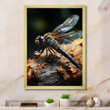 Brown Dragonfly Portrait Vibrant - Dragonfly Home Decor Art