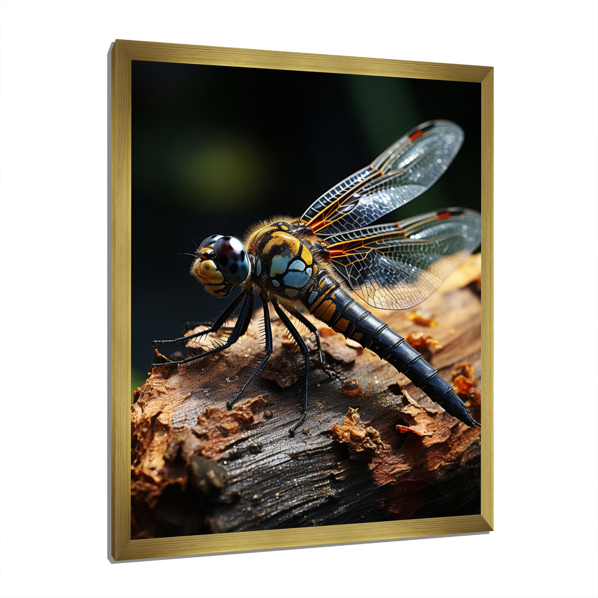 Brown Dragonfly Portrait Vibrant - Dragonfly Home Decor Art