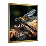 Brown Dragonfly Portrait Vibrant - Dragonfly Home Decor Art
