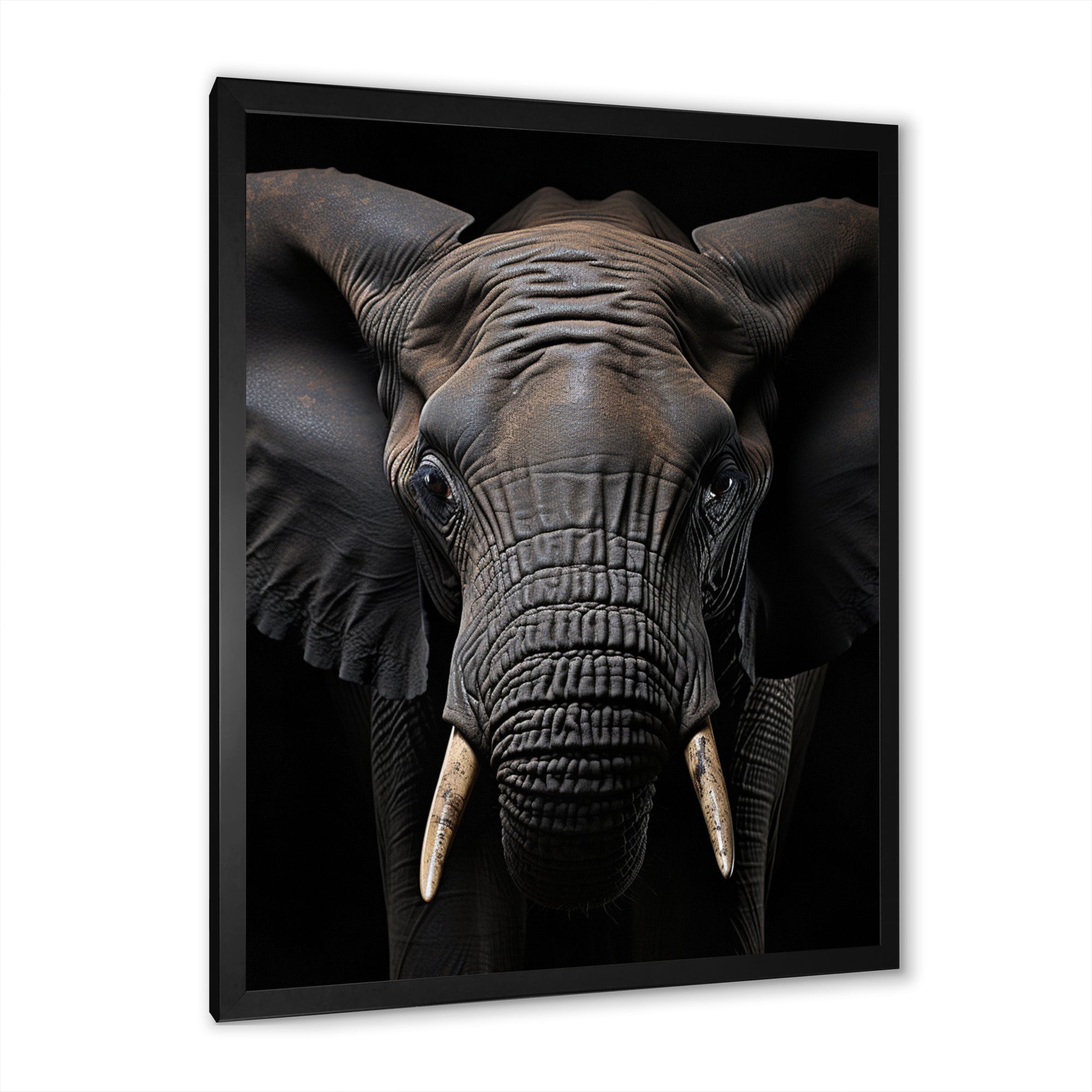 Elephant Portrait In Black And White - Elephant Wall Art Prints