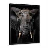 Elephant Portrait In Black And White - Elephant Wall Art Prints
