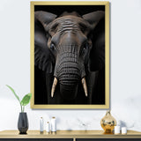 Elephant Portrait In Black And White - Elephant Wall Art Prints