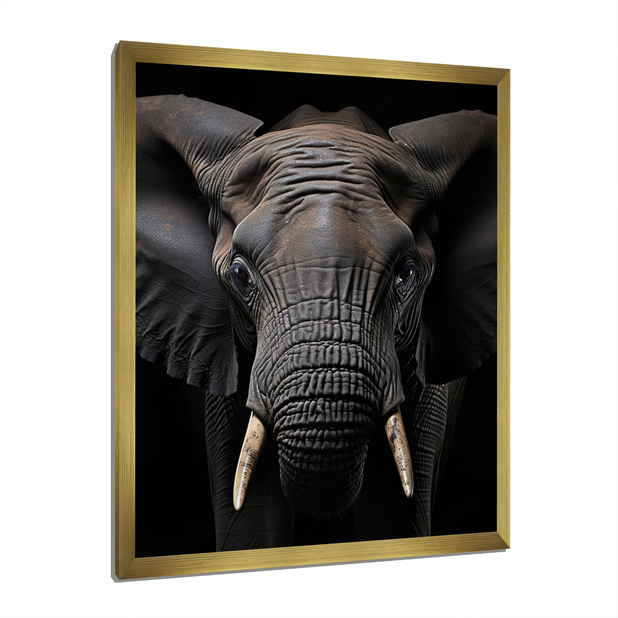 Elephant Portrait In Black And White - Elephant Wall Art Prints
