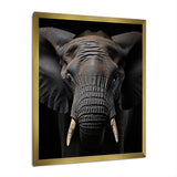Elephant Portrait In Black And White - Elephant Wall Art Prints
