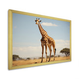Giraffe Gentle Horizon - Giraffe Living Room Wall Art
