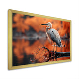 Grey Red Heron Solitude - Heron Wall Decor