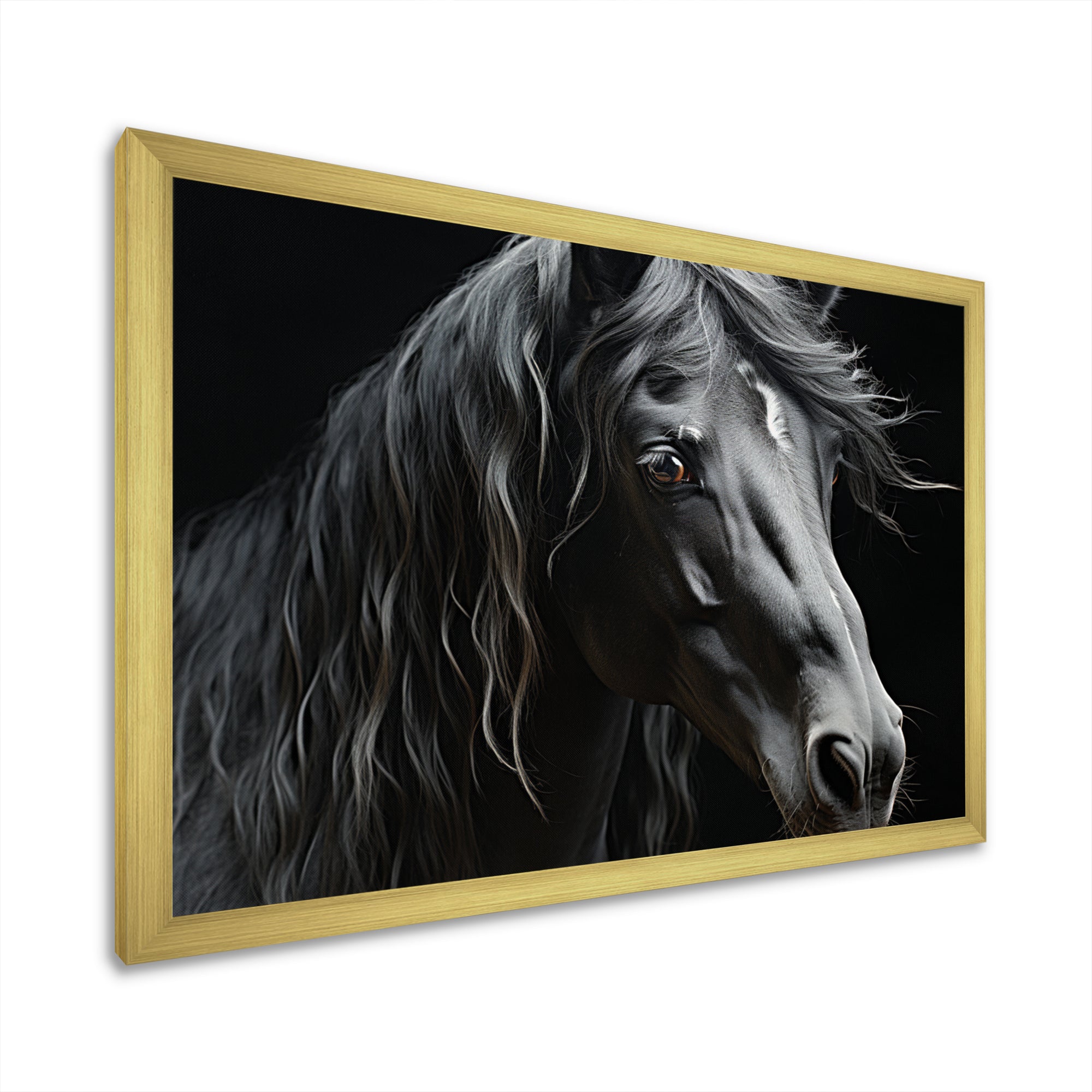 Black White Horse Portrait - Horse Canvas Wall Art