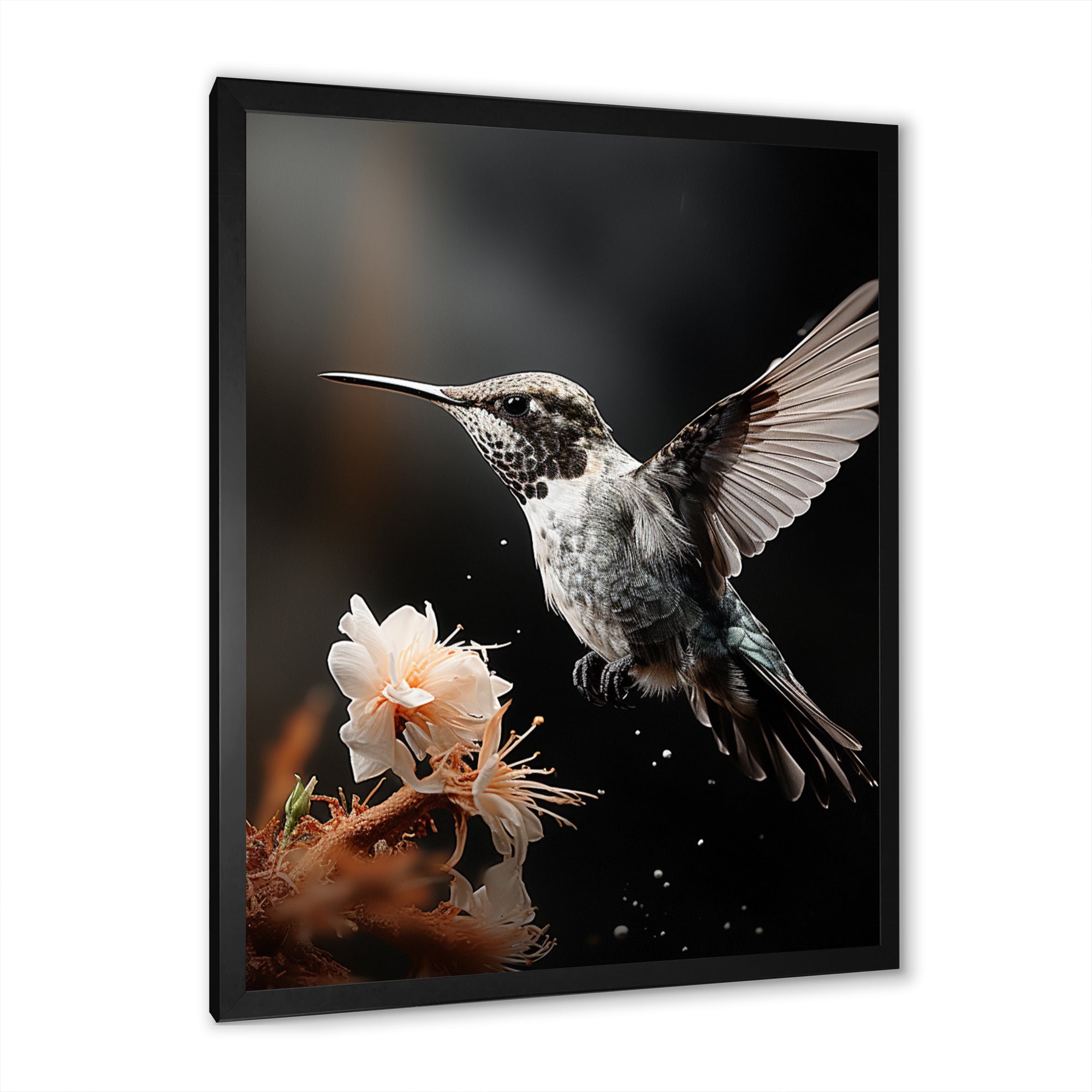 Black White Hummingbird Energetic - Hummingbird Wall Decor