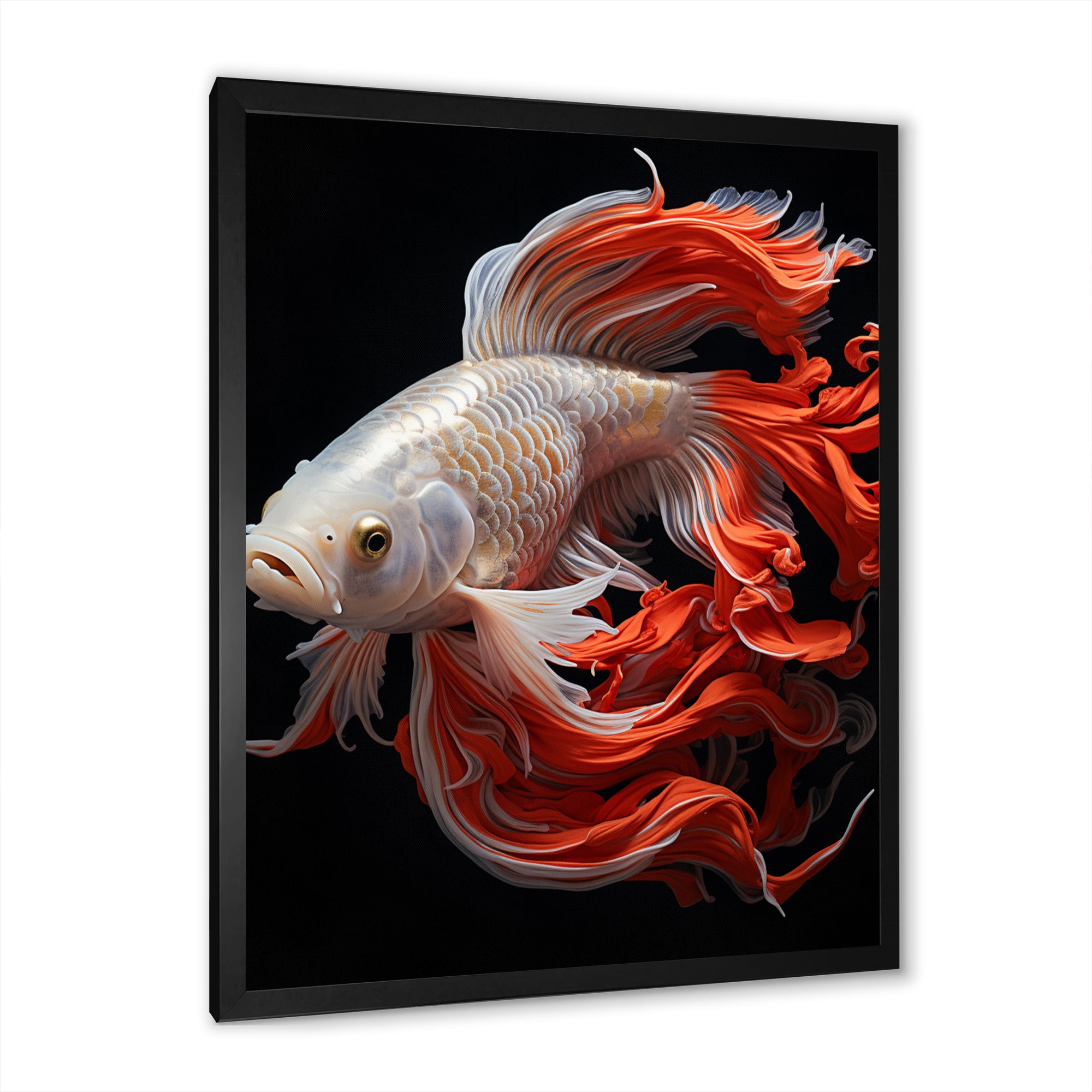Coral Kois Fish Bold Contrasts - Koi's Fish Large Canvas Wall Art