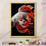 Coral Kois Fish Bold Contrasts - Koi's Fish Large Canvas Wall Art