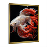 Coral Kois Fish Bold Contrasts - Koi's Fish Large Canvas Wall Art