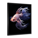 Purple Kois Fish Delicate Patterns - Koi's Fish Home Decor Art