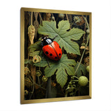 Ladybug Ladybugs Leisure - Red Ladybug Wall Art