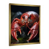 Coral Black Lobster Lively Lobster - Lobster Wall Art Prints