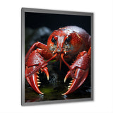 Coral Black Lobster Lively Lobster - Lobster Wall Art Prints