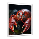 Coral Black Lobster Lively Lobster - Lobster Wall Art Prints