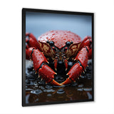 Coral Grey Lobster Portrait Vibrant - Lobster Living Room Wall Art