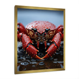 Coral Grey Lobster Portrait Vibrant - Lobster Living Room Wall Art