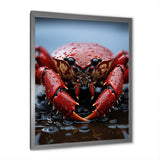 Coral Grey Lobster Portrait Vibrant - Lobster Living Room Wall Art