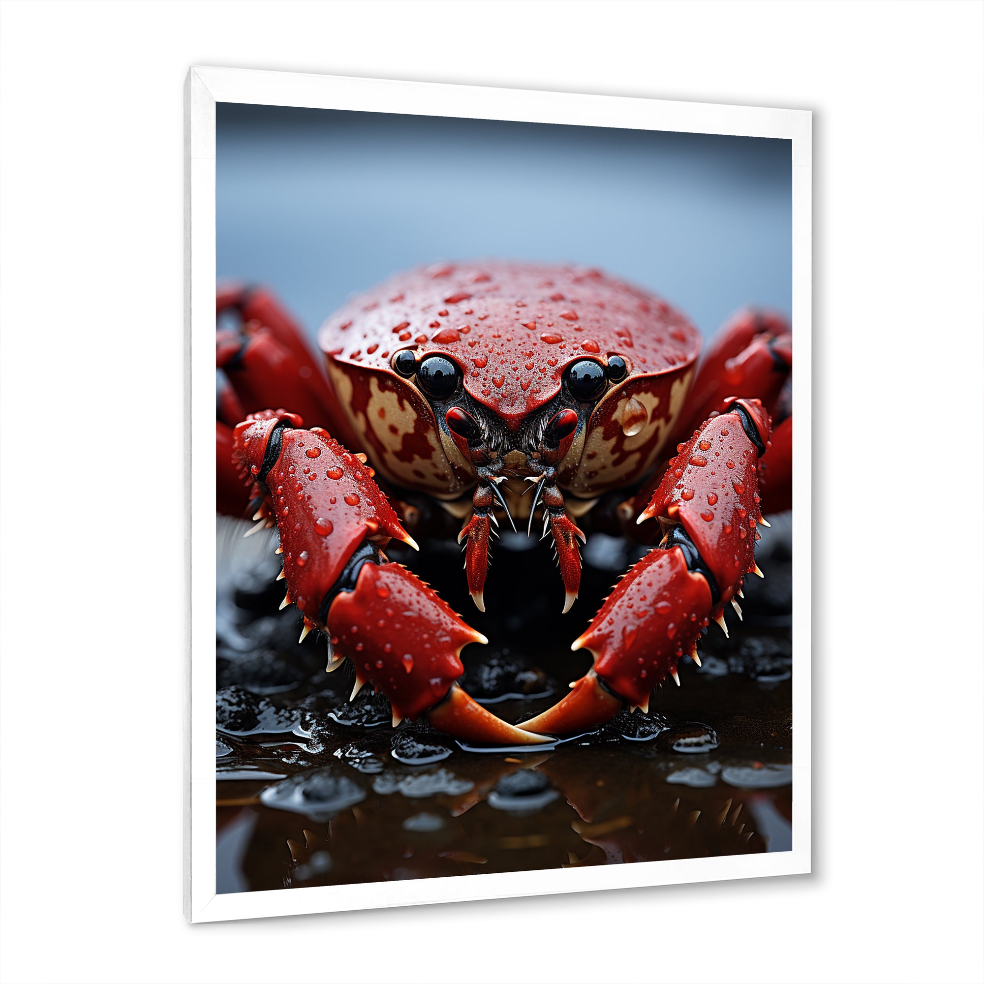 Coral Grey Lobster Portrait Vibrant - Lobster Living Room Wall Art