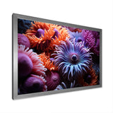 Purple Coral Marine Animals Harmony - Marine Animals Framed Canvas Art